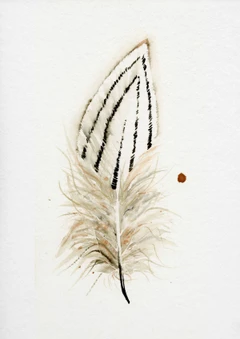 Image of a feather watercolor painting by Shayna Larsen, originals & prints available