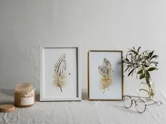 Image of a feather watercolor painting by Shayna Larsen, originals & prints available