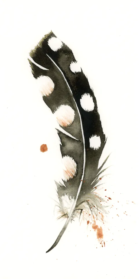 Image of a feather watercolor painting by Shayna Larsen, originals & prints available