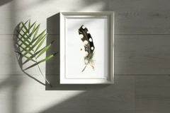 Image of a feather watercolor painting by Shayna Larsen, originals & prints available