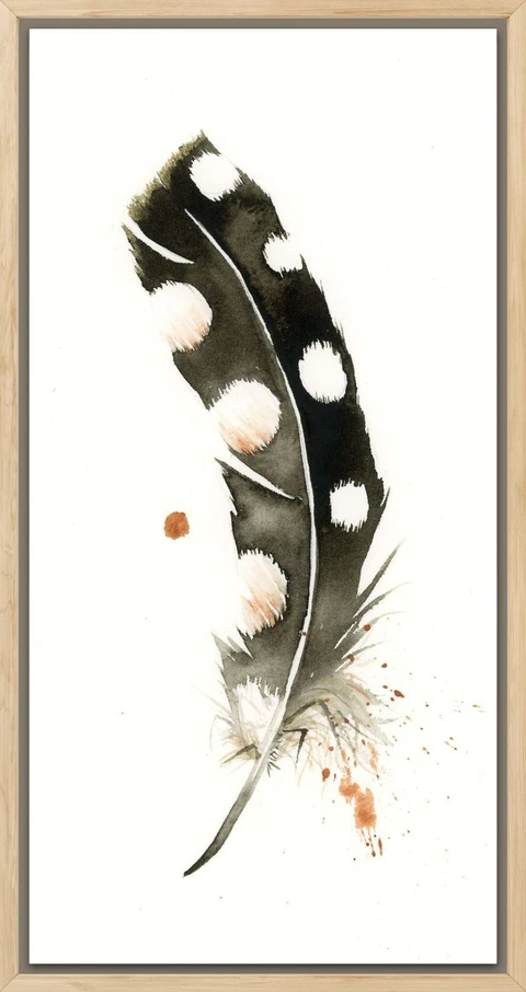 Image of a feather watercolor painting by Shayna Larsen, originals & prints available