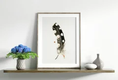 Image of a feather watercolor painting by Shayna Larsen, originals & prints available