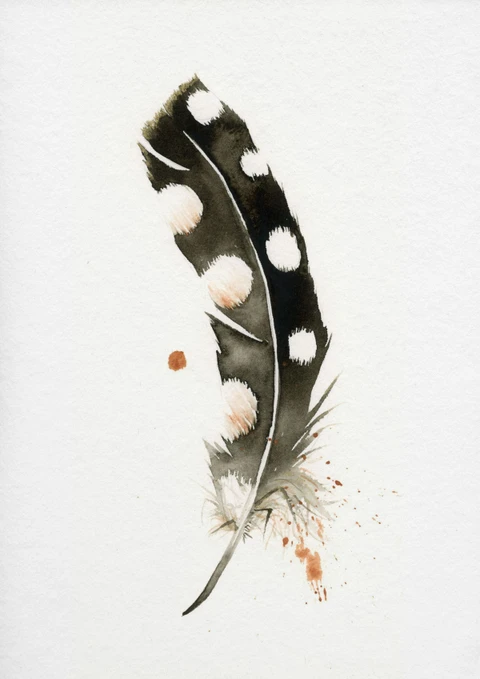 Image of a feather watercolor painting by Shayna Larsen, originals & prints available