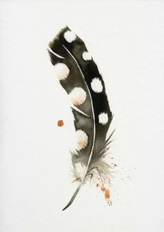 Image of a feather watercolor painting by Shayna Larsen, originals & prints available