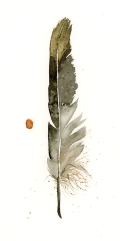 Image of a feather watercolor painting by Shayna Larsen, originals & prints available