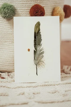 Image of a feather watercolor painting by Shayna Larsen, originals & prints available