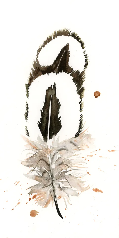 Image of a feather watercolor painting by Shayna Larsen, originals & prints available