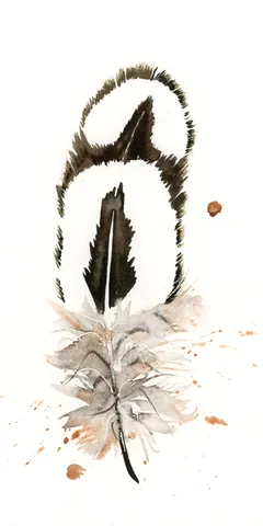 Image of a feather watercolor painting by Shayna Larsen, originals & prints available