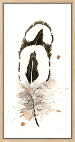 Image of a feather watercolor painting by Shayna Larsen, originals & prints available