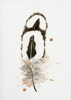 Image of a feather watercolor painting by Shayna Larsen, originals & prints available