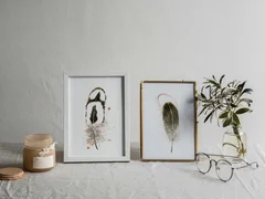 Image of a feather watercolor painting by Shayna Larsen, originals & prints available