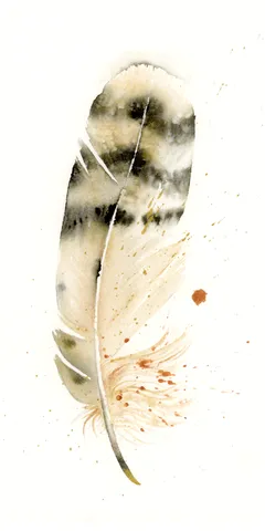 Image of a feather watercolor painting by Shayna Larsen, originals & prints available