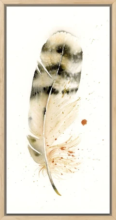 Image of a feather watercolor painting by Shayna Larsen, originals & prints available
