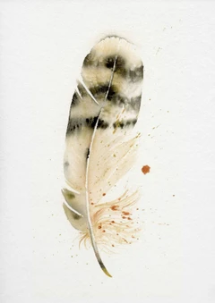 Image of a feather watercolor painting by Shayna Larsen, originals & prints available