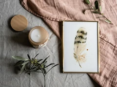 Image of a feather watercolor painting by Shayna Larsen, originals & prints available