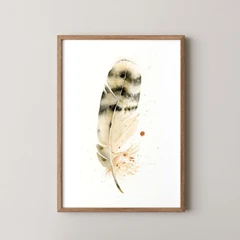 Image of a feather watercolor painting by Shayna Larsen, originals & prints available