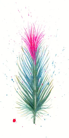 Image of a feather watercolor painting by Shayna Larsen, originals & prints available