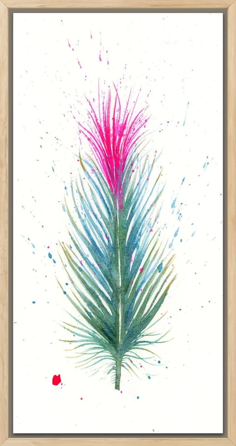 Image of a feather watercolor painting by Shayna Larsen, originals & prints available