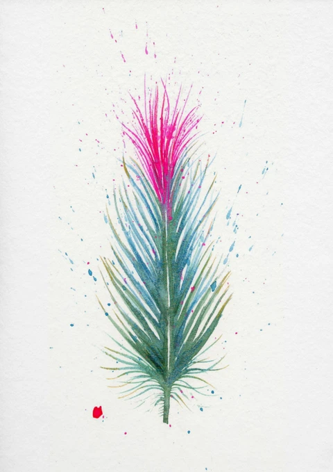 Image of a feather watercolor painting by Shayna Larsen, originals & prints available