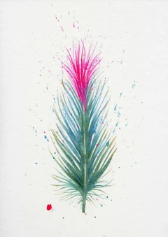 Image of a feather watercolor painting by Shayna Larsen, originals & prints available