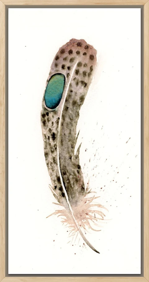 Image of a feather watercolor painting by Shayna Larsen, originals & prints available