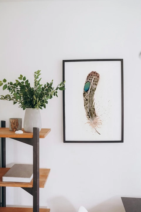 Image of a feather watercolor painting by Shayna Larsen, originals & prints available