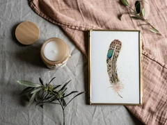Image of a feather watercolor painting by Shayna Larsen, originals & prints available