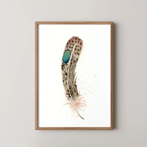 Image of a feather watercolor painting by Shayna Larsen, originals & prints available