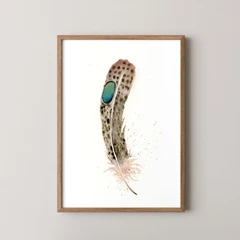 Image of a feather watercolor painting by Shayna Larsen, originals & prints available