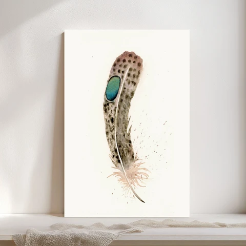 Image of a feather watercolor painting by Shayna Larsen, originals & prints available