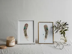 Image of a feather watercolor painting by Shayna Larsen, originals & prints available
