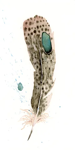 Image of a feather watercolor painting by Shayna Larsen, originals & prints available