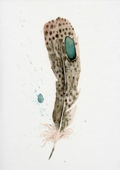 Image of a feather watercolor painting by Shayna Larsen, originals & prints available