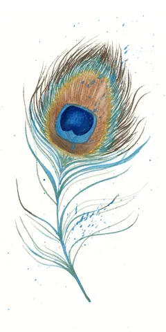 Image of a feather watercolor painting by Shayna Larsen, originals & prints available