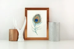 Image of a feather watercolor painting by Shayna Larsen, originals & prints available