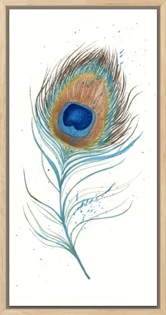 Image of a feather watercolor painting by Shayna Larsen, originals & prints available