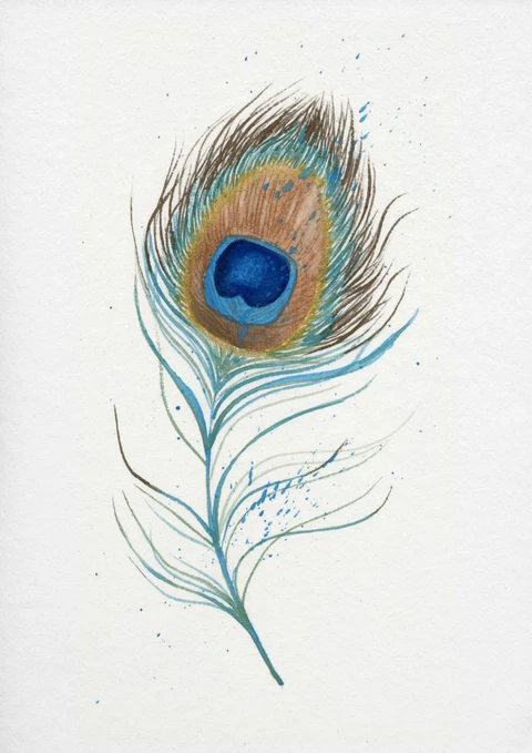 Image of a feather watercolor painting by Shayna Larsen, originals & prints available