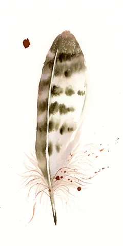 Image of a feather watercolor painting by Shayna Larsen, originals & prints available