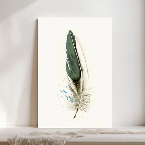 Image of a feather watercolor painting by Shayna Larsen, originals & prints available