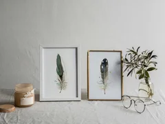 Image of a feather watercolor painting by Shayna Larsen, originals & prints available