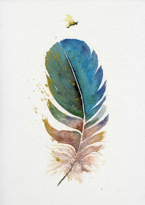 Image of a feather watercolor painting by Shayna Larsen, originals & prints available