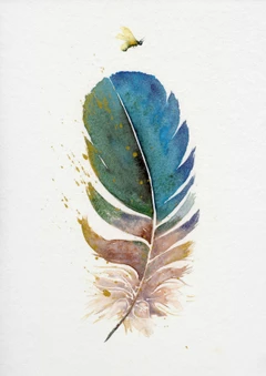 Image of a feather watercolor painting by Shayna Larsen, originals & prints available