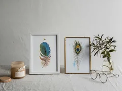 Image of a feather watercolor painting by Shayna Larsen, originals & prints available