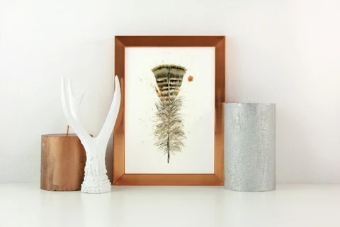 Image of a feather watercolor painting by Shayna Larsen, originals & prints available