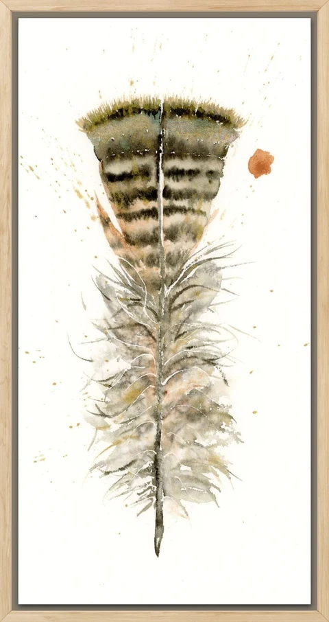 Image of a feather watercolor painting by Shayna Larsen, originals & prints available