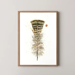 Image of a feather watercolor painting by Shayna Larsen, originals & prints available