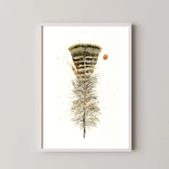 Image of a feather watercolor painting by Shayna Larsen, originals & prints available