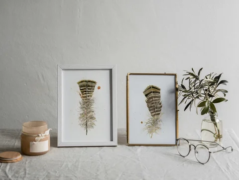 Image of a feather watercolor painting by Shayna Larsen, originals & prints available