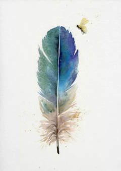 Image of a feather watercolor painting by Shayna Larsen, originals & prints available