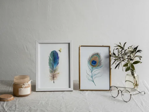 Image of a feather watercolor painting by Shayna Larsen, originals & prints available